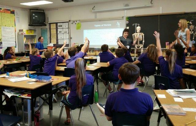 Skeleton Lesson