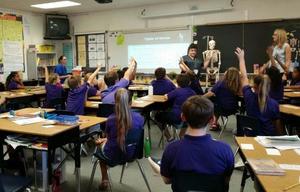 Skeleton Lesson